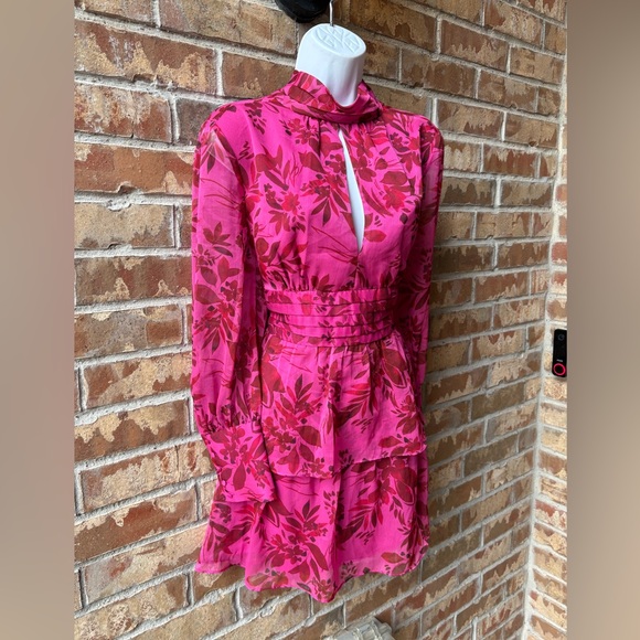 AMANDA UPRICHARD Samira floral tiered ruffle, sheer Mini Dress size Large - Picture 7 of 11